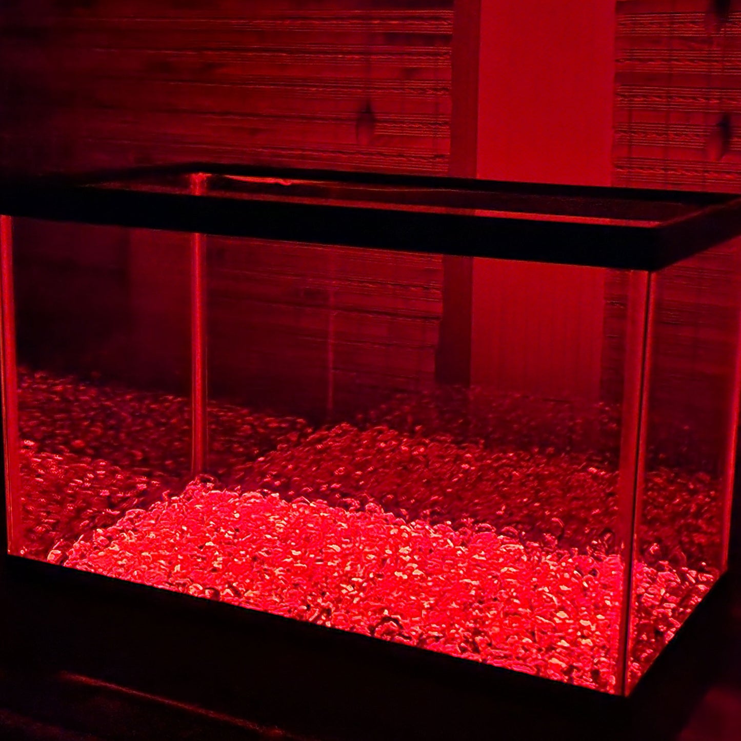 LED lights in red at night.