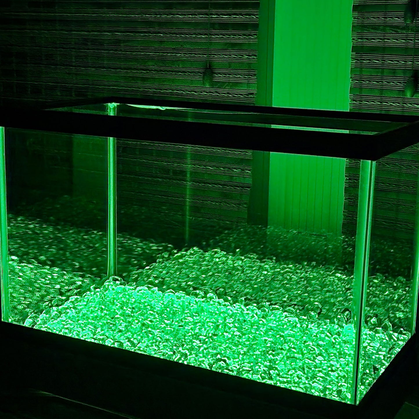 LED lights in green at night.