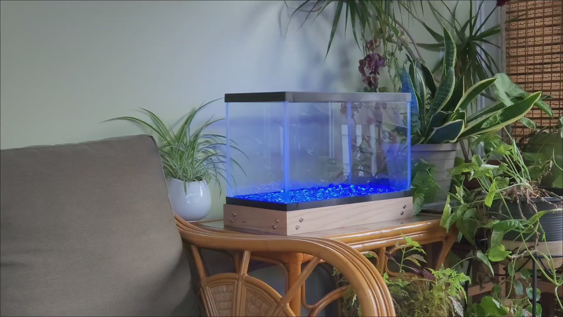 Load video: LED fish tank lights in solid colors.