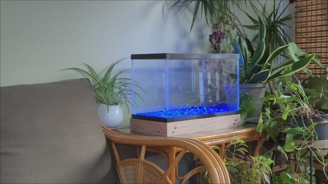 LED fish tank lights in solid colors.